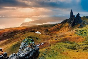 Landscape_1000