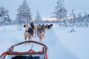 Finnland 2