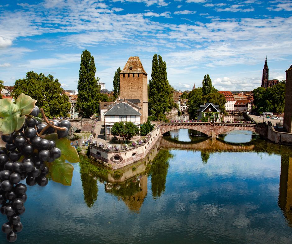2 Tage nach Strasbourg zur Weinmesse vom 14.02. - 15.02.2026