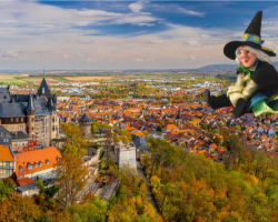 Busreisen mehrtägig 44