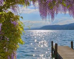 Busreisen mehrtägig 47