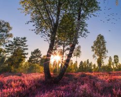 Busreisen mehrtägig 51