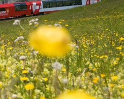 Busreisen mehrtägig 52